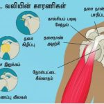 முட்டையின் மஞ்சள் கருவில் என்ன இருக்கிறது?
