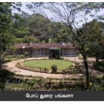 எலுமிச்சம் பழத்தின் சிறப்பு