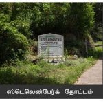 உலகின் முதல் மொழி தமிழ்மொழி- Abdul Rahman speech about Tamil language