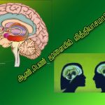 அள்ளிக் கொடுக்க வேண்டாம் கிள்ளியேனும் கொடு !