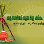 மண்ணின்றிய பயிர்ச்செய்கை முறை