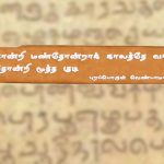 An Alternative to SUGAR/சர்க்கரைக்கு மாற்றாக சர்க்கரை துளசி..