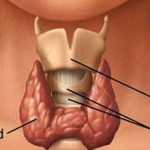 வாட்ஸ்அப் செயலியின் அந்த அம்சத்தில் விரைவில் மாற்றம்