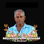 கறிவேப்பிலையை சாப்பிடுவதால் உண்டாகும் நன்மைகள்!