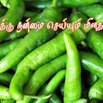 வாங்க தூண்டும் தூண்டல் அடுப்பு/(Induction Stove )
