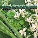 Jaffna Style Fried Drumstick Curry-சுவைமிகு முருங்கைக்காய் குழம்பு