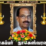 கீழ் முதுகு வலி..>Spinealgia<Lower back Pain
