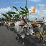 கண்ணீர் அஞ்சலி – சிவமணி சரவணகுமார்