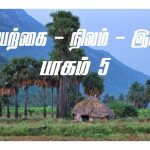 வாய்ப் புண் Oral Ulcer என்றால் என்ன?