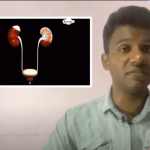 திருமதி. தயாநிதி(தயா).பாஸ்கரன்