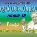 முன்னே ஓர் தனி மரம் !