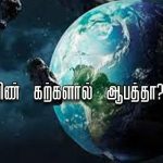 அரிசியில்தான் எத்தகை வகை?