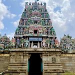 மாற்றுத் திறனாளிகளுக்கான விசேட பஸ் சேவை ஆரம்பம்