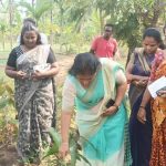 சித்திரை புத்தாண்டு விளையாட்டுப் போட்டிகளுக்கான பாதுகாப்பு நடைமுறை வெளியீடு
